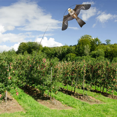 Flerigh cometa en vuelo sobre huerto que ahuyenta aves eficientemente
