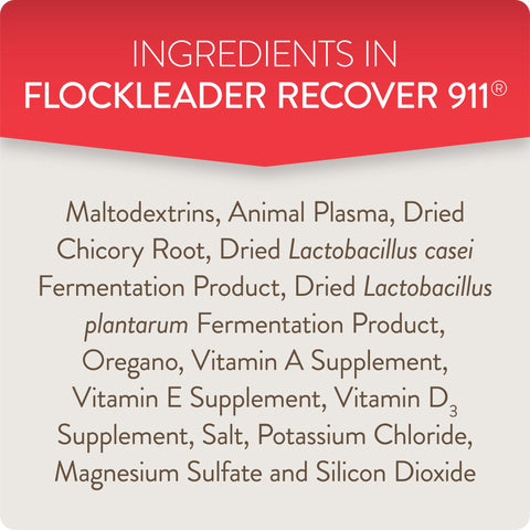 FlockLeader etiqueta informativa con instrucciones y ventajas claras