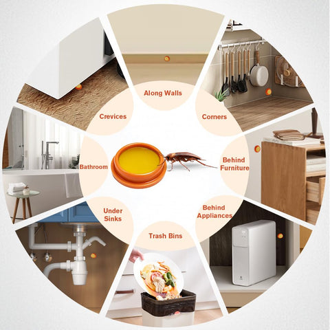 FLODTEEK cebos colocados en cocina, control discreto de cucarachas