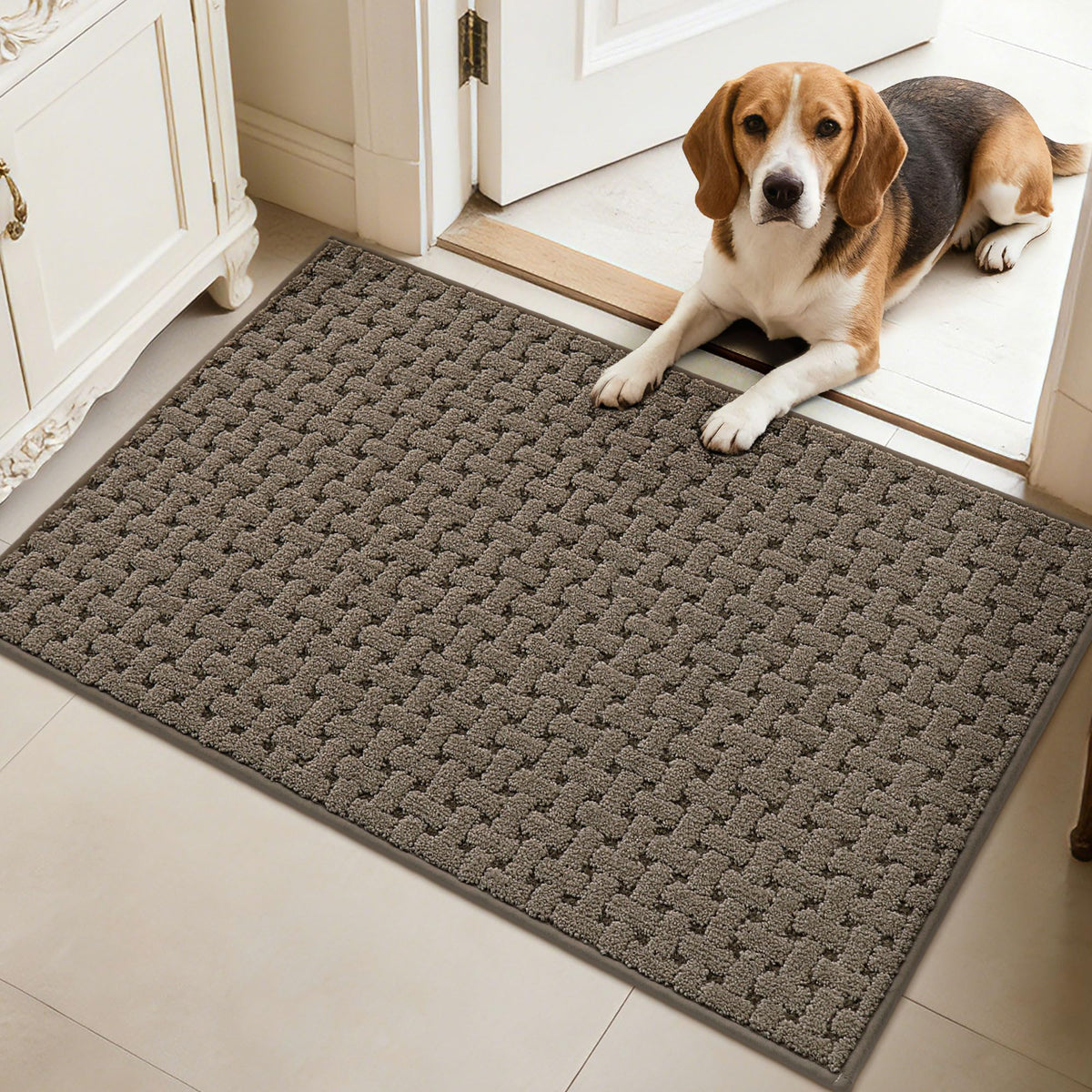 FLOORHUG felpudo frontal 24x36 mostrando absorción y diseño elegante