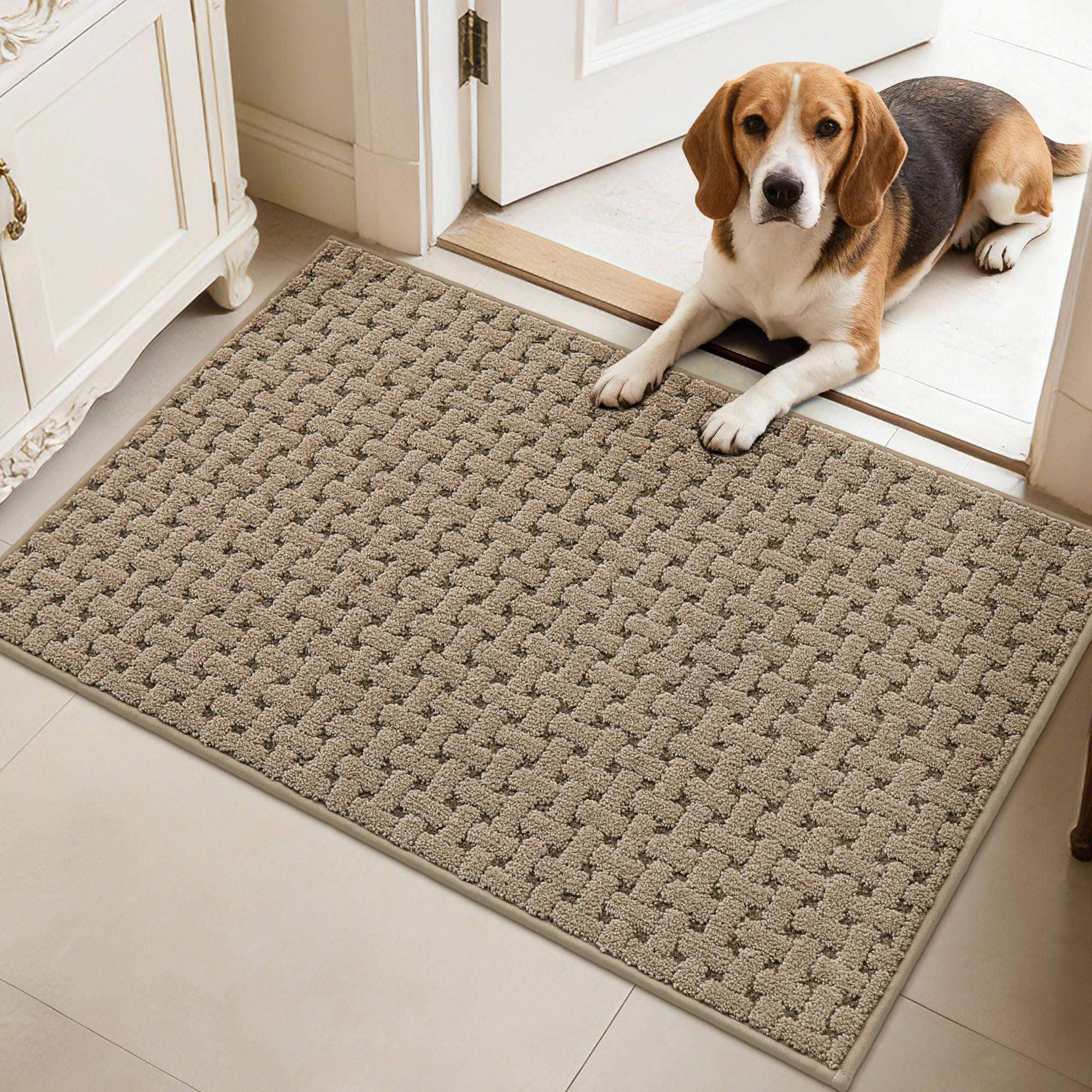 FLOORHUG felpudo frontal beige protegiendo entrada