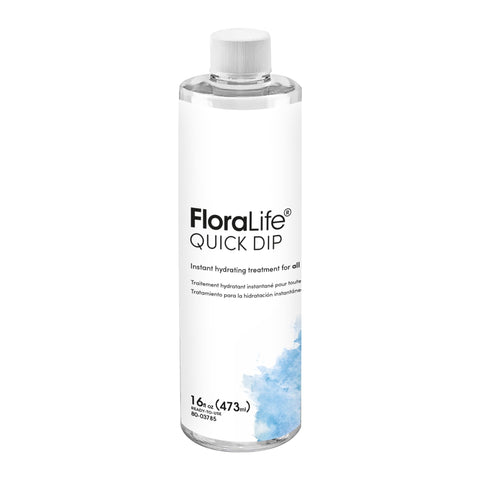 Floralife Quick Dip botella frontal mostrando etiqueta y tamaño práctico