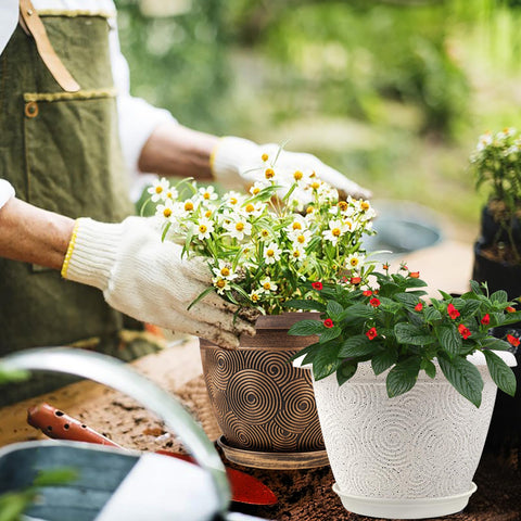 Fodetyff detalle del acabado moteado que realza plantas con estética elegante
