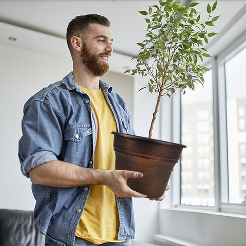 Fodetyff conjunto de cuatro macetas decoradas ideal para agrupar plantas