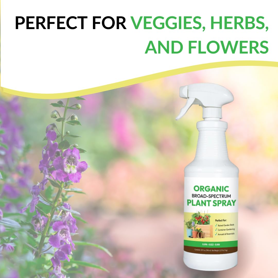 FOOP etiqueta con ingredientes y beneficios visibles para elegir