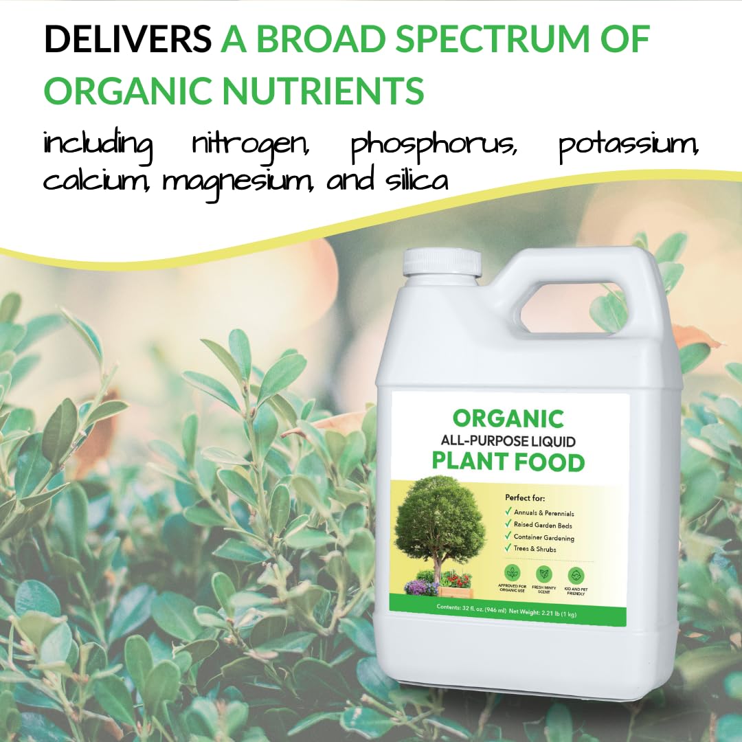 FOOP solución diluida en regadera lista para nutrir plantas rápidamente