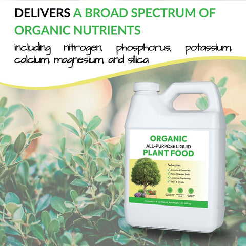 FOOP solución diluida en regadera lista para nutrir plantas rápidamente