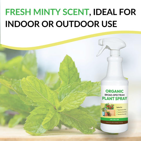 FOOP uso en plántula en maceta favoreciendo establecimiento