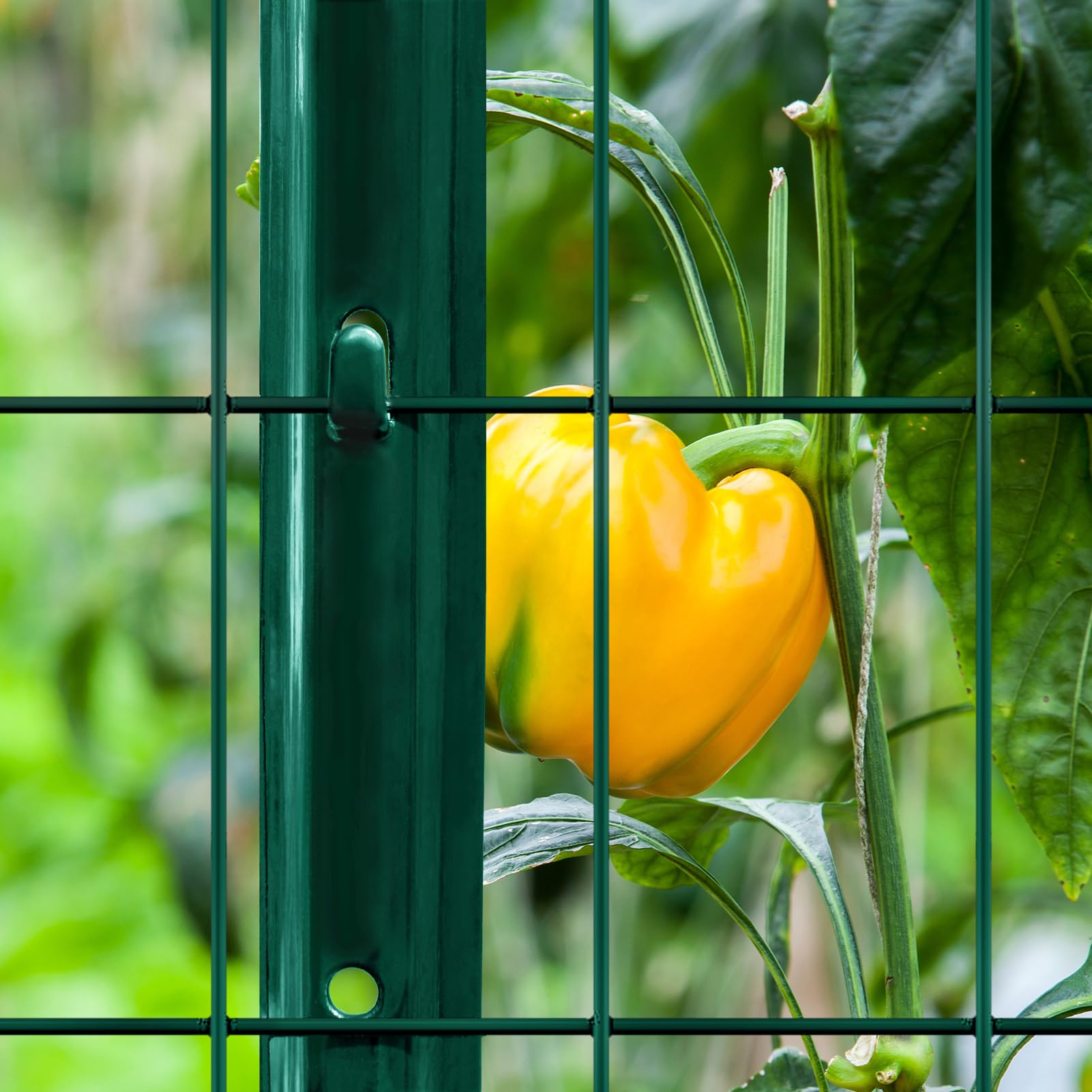 FOREHOGAR cerca instalada en jardín protegiendo parterres y delimitando espacios