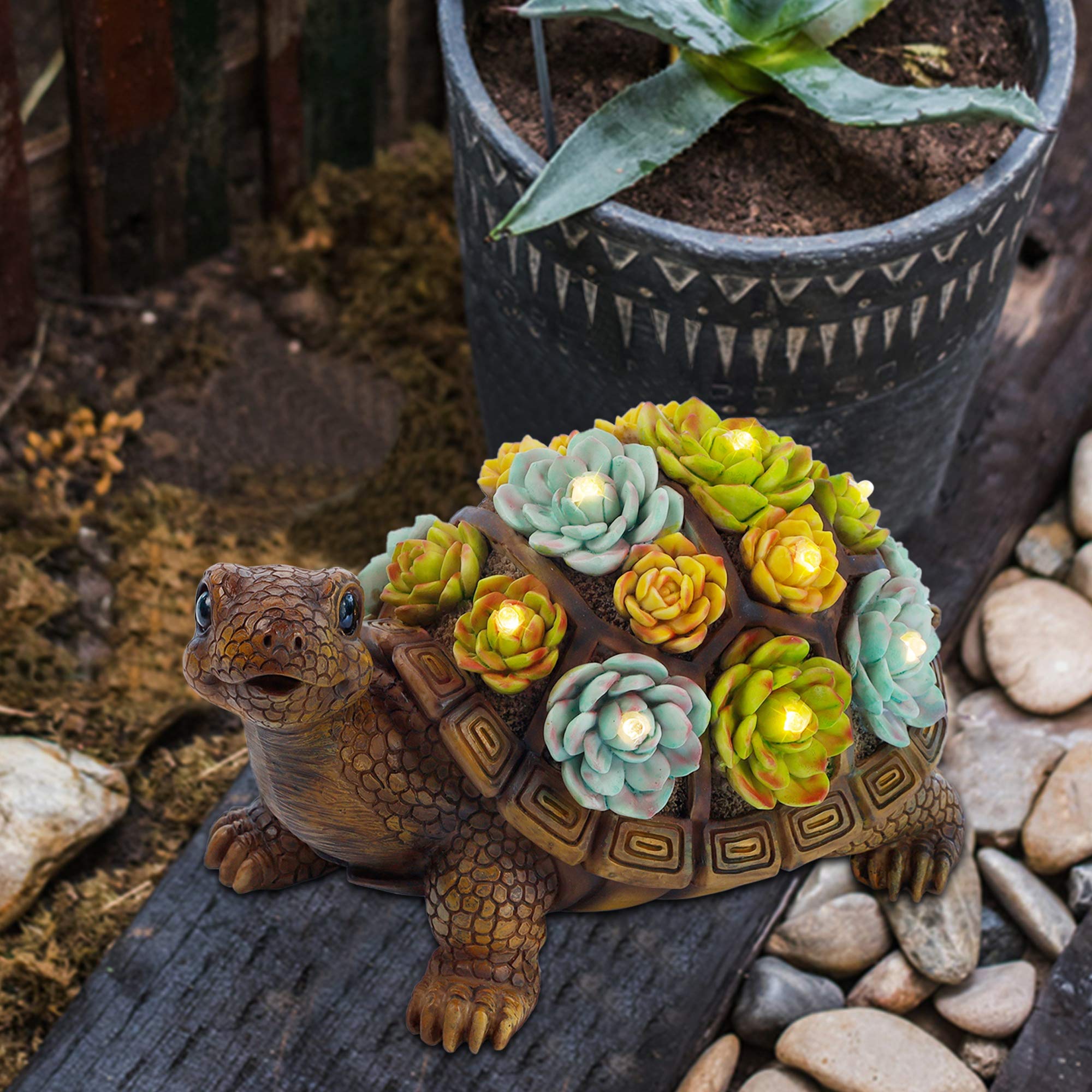 FORUP tortuga en jardín realzando entrada y caminos