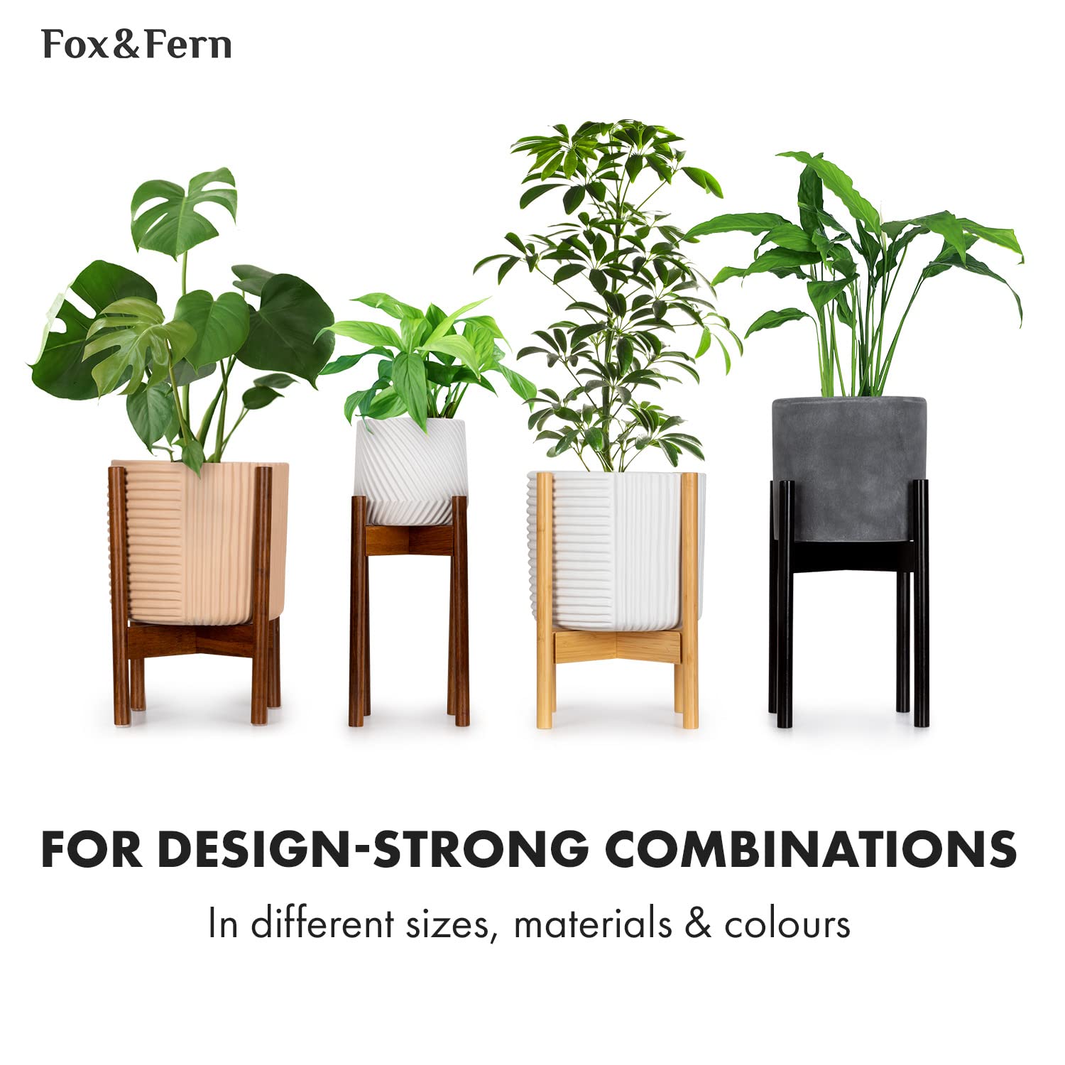 Fox & Fern etiqueta y acabado brillante que evidencia limpieza fácil