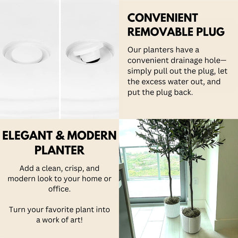 Fox & Fern maceta con monstera presenta soporte para plantas grandes