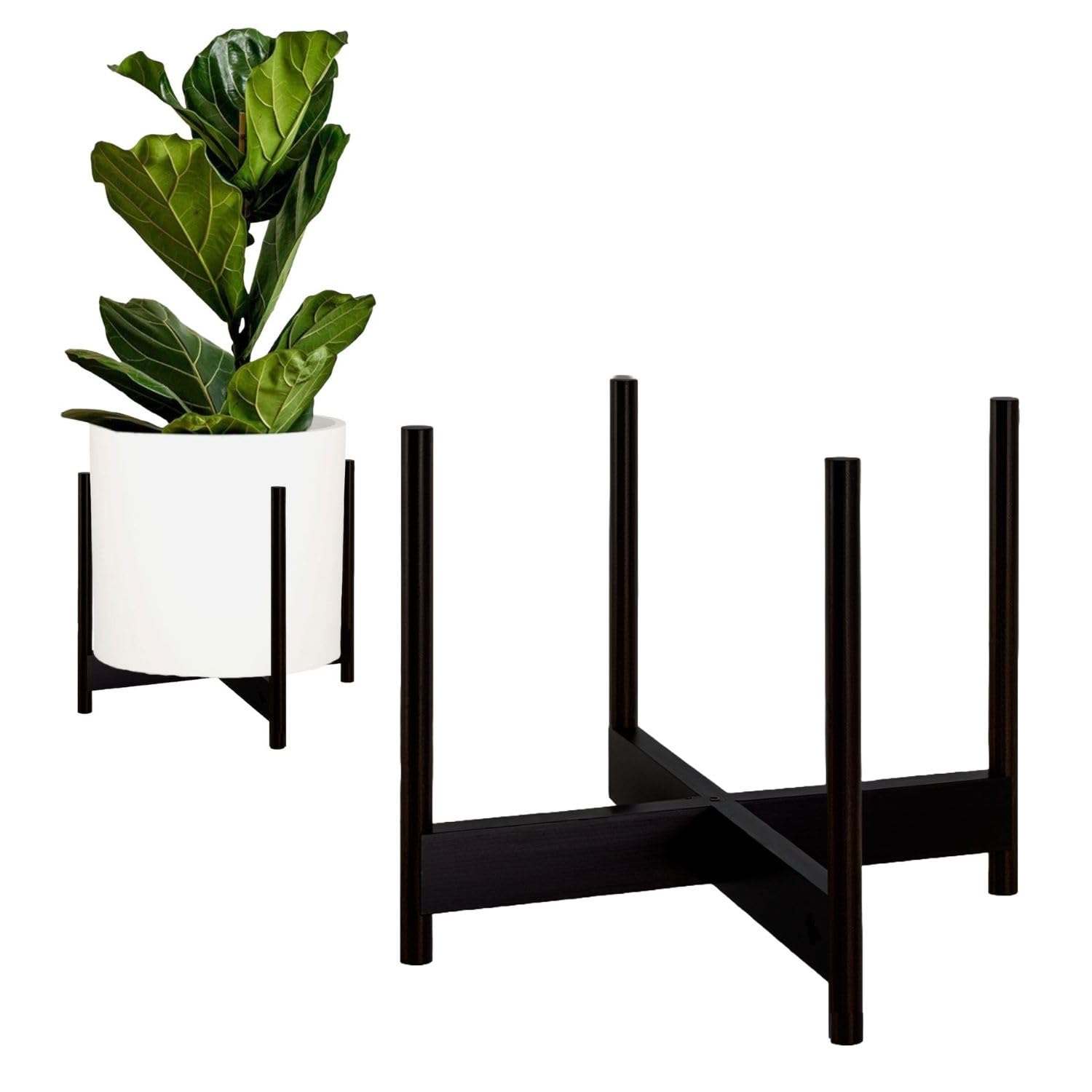 Fox & Fern soporte frontal mostrando estabilidad y estilo