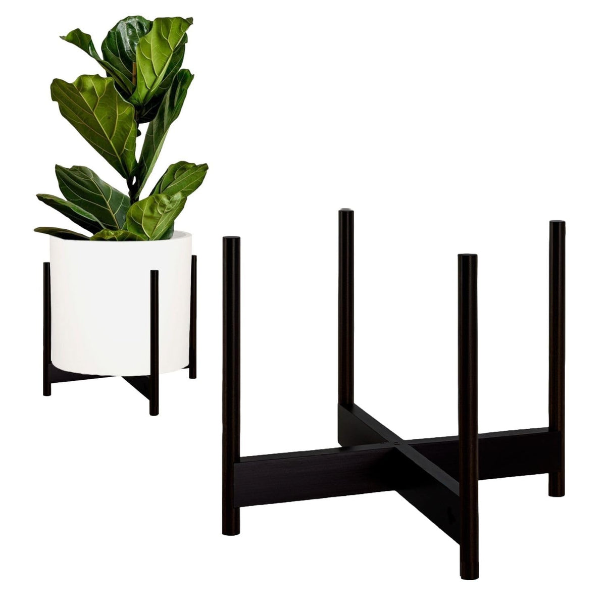 Fox & Fern soporte frontal mostrando estabilidad y estilo