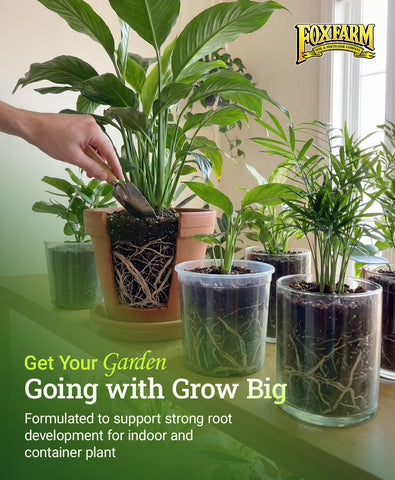 FoxFarm Grow Big en macetas y huerto para crecimiento vegetativo vigoroso