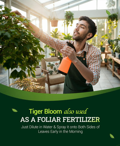 FoxFarm junto a regla para comparar tamaño del envase y cantidad