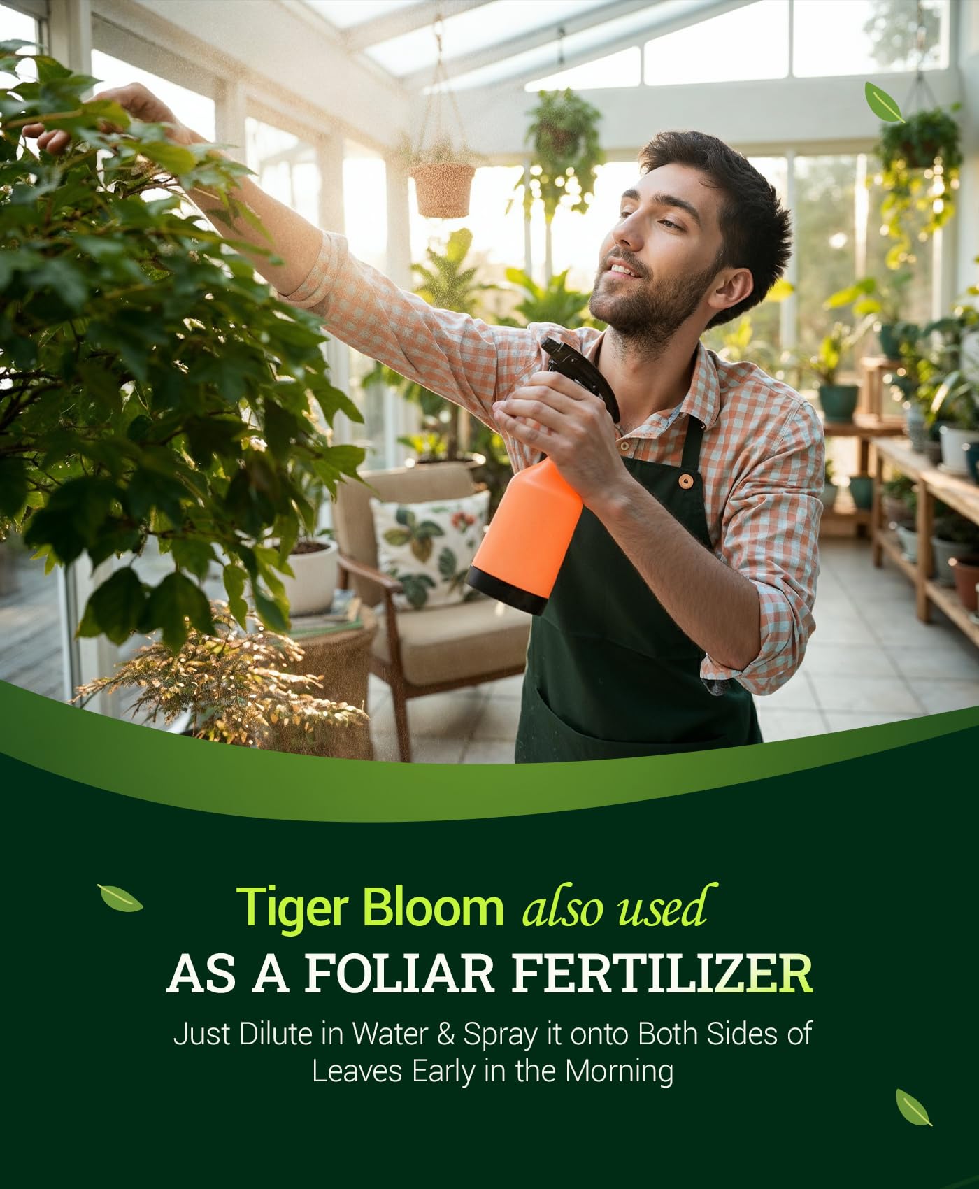 FoxFarm Tiger Bloom plantas con flores abundantes tras uso continuo