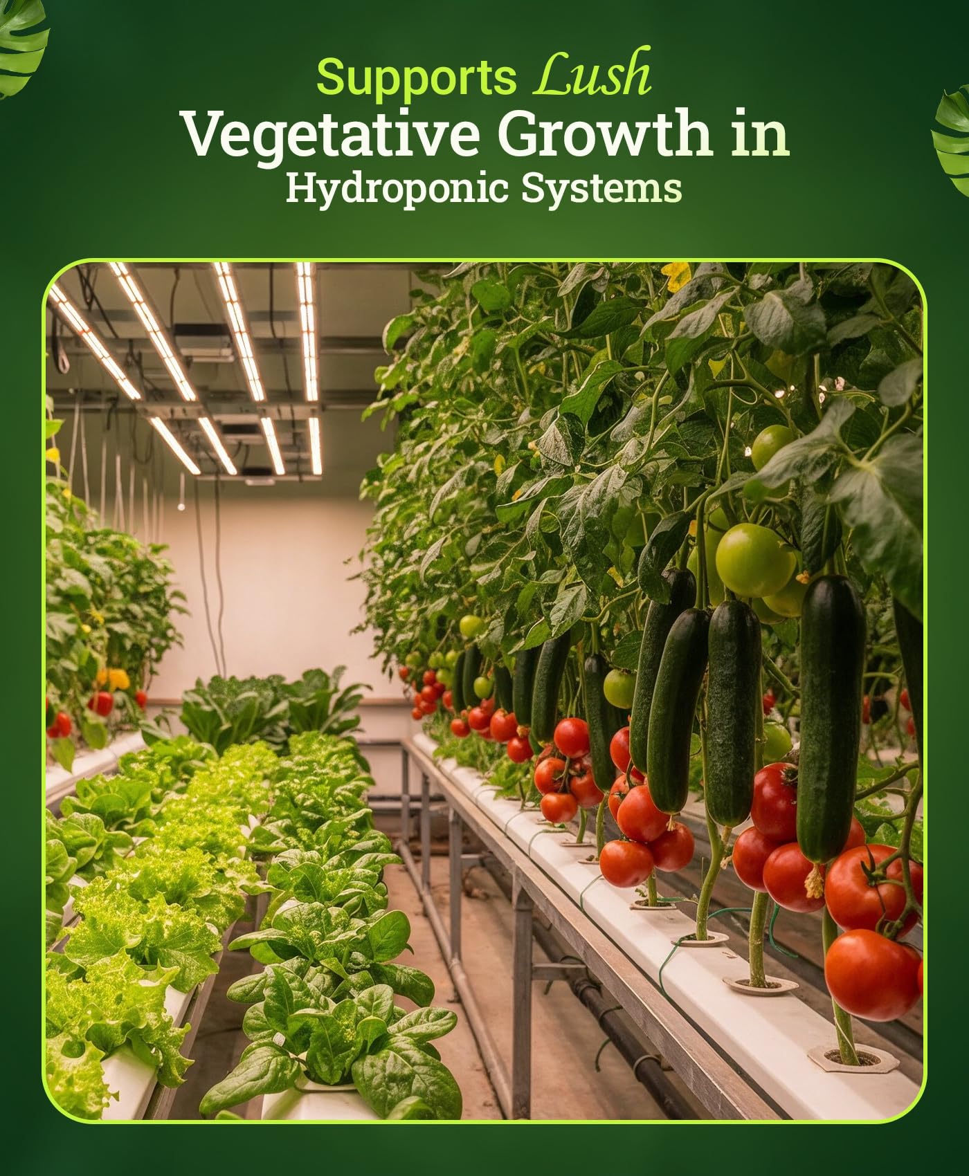 FoxFarm producto en uso en sistema hidropónico promoviendo vigor vegetal