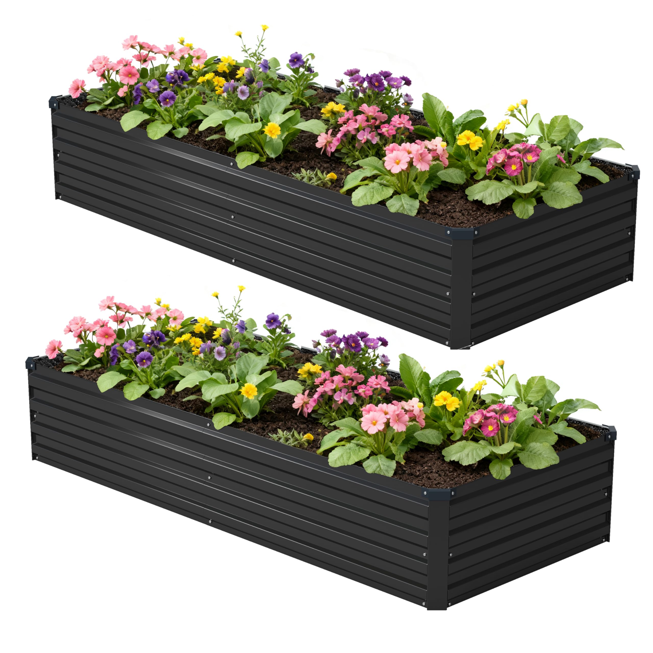 Foxlang cama elevada frontal montada mostrando espacio de cultivo