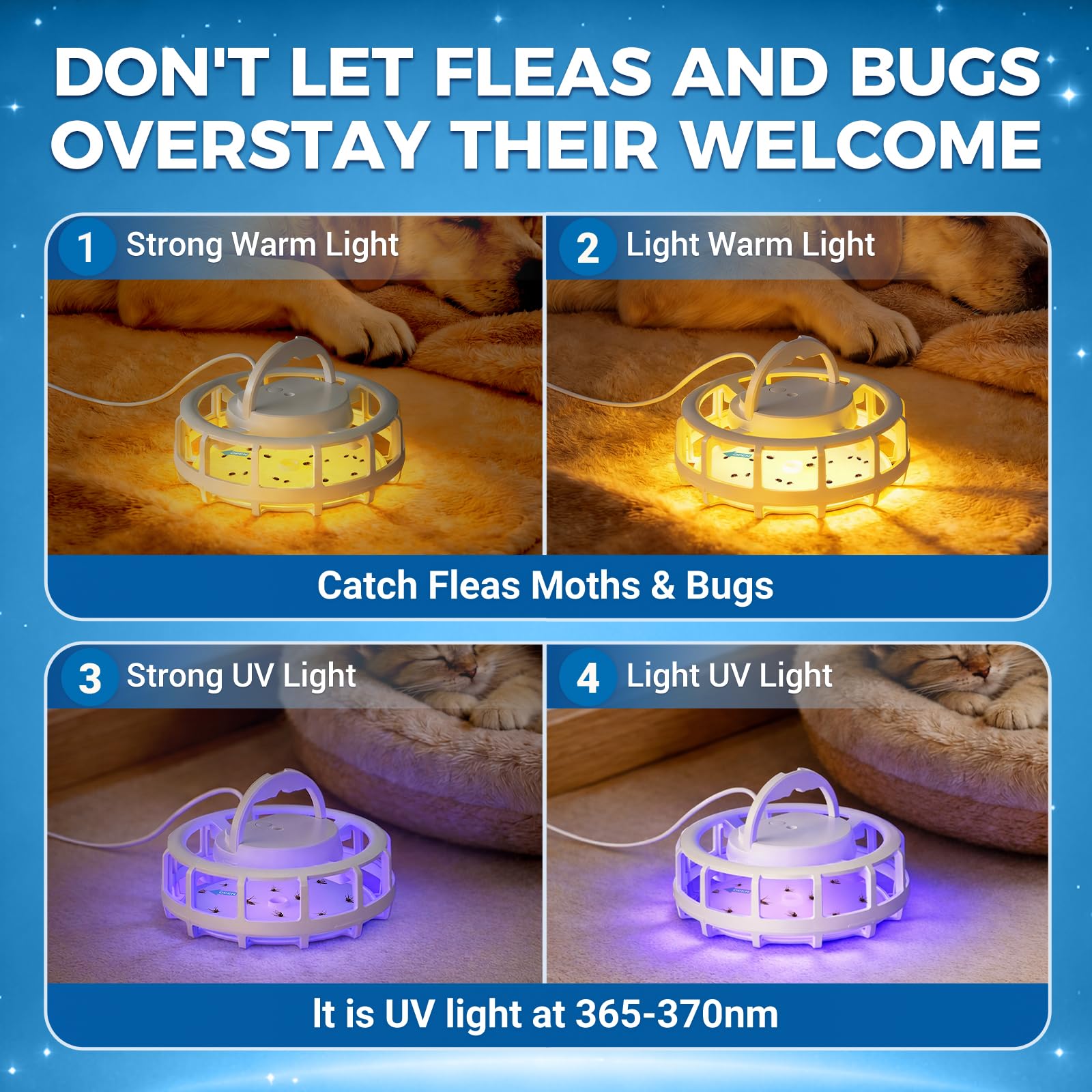 Frogoom detalle del pad adhesivo que atrapa insectos sin químicos
