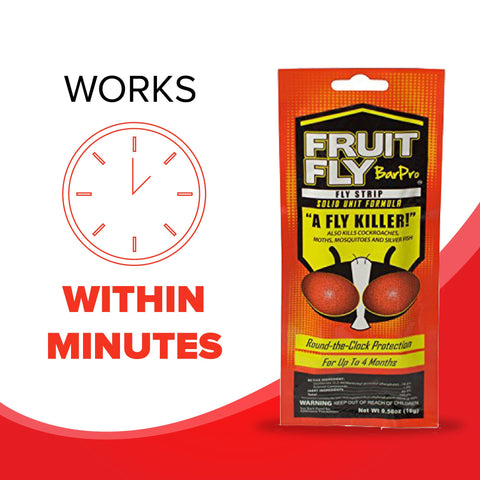 Fruit Fly BarPro en ambiente junto a cubo de basura evitando infestaciones