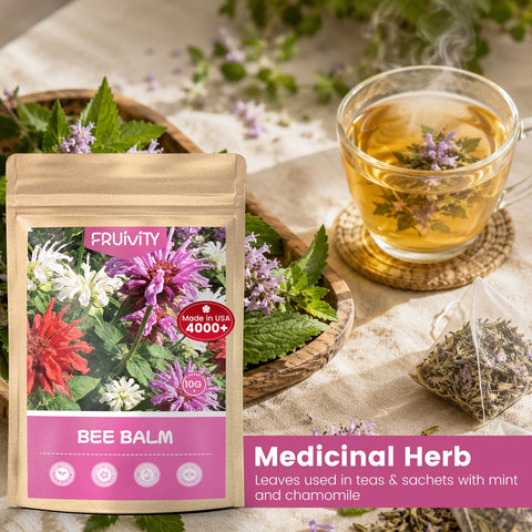 Fruivity macizo de Bee Balm en jardín, brinda color y movimiento