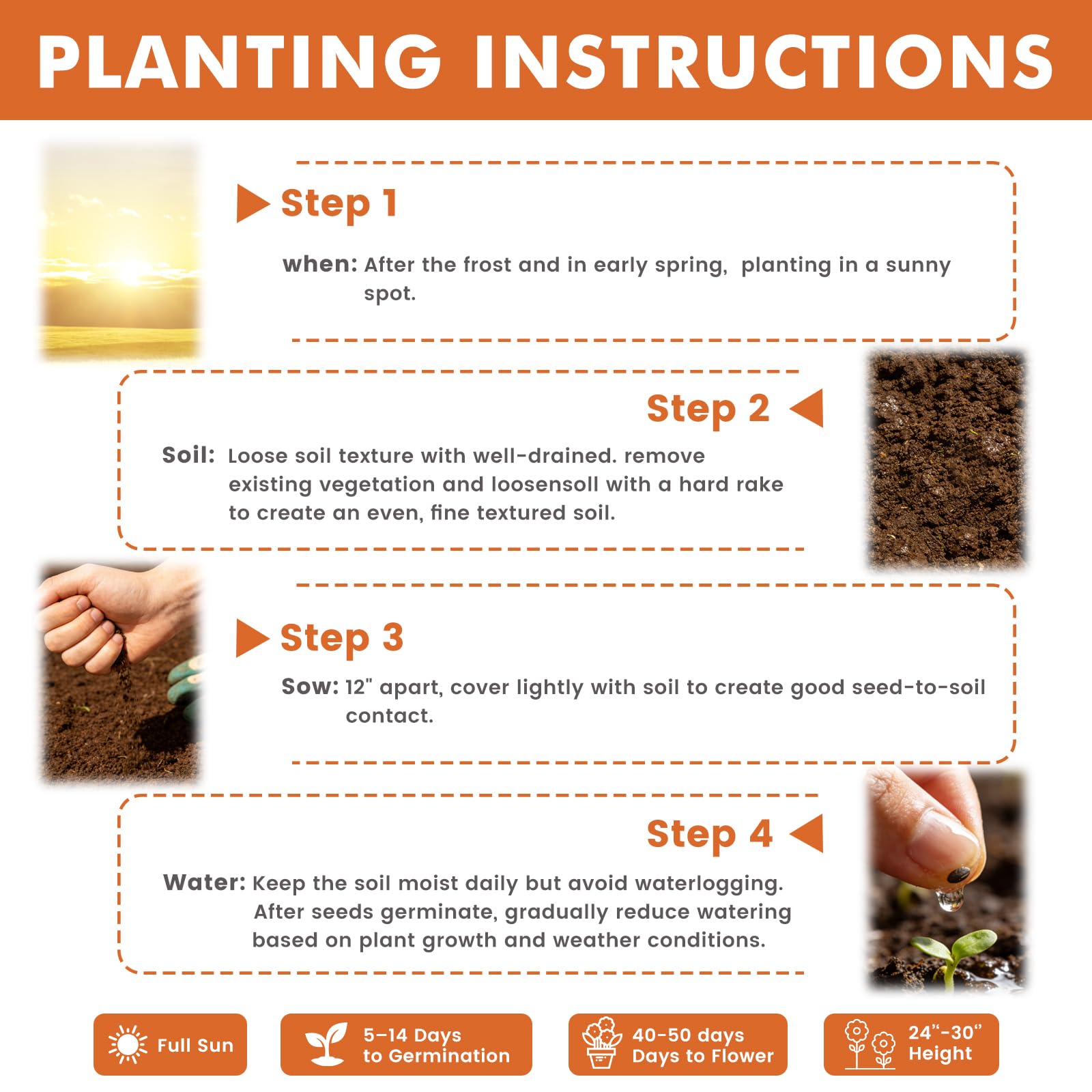 Fruivity etiqueta con instrucciones claras para siembra y cuidados