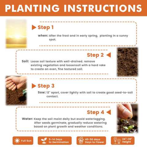 Fruivity etiqueta con instrucciones claras para siembra y cuidados