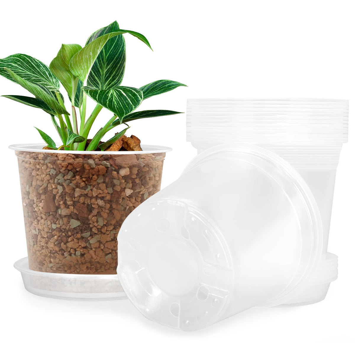 FUIJOL frente del pack de 15 macetas mostrando organización y ahorro