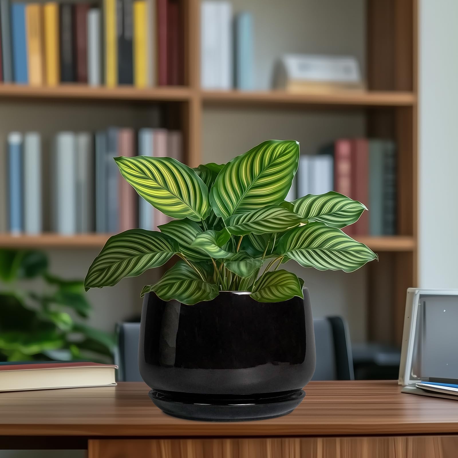 G EPGardening maceta en ambiente interior, aporta estilo y funcionalidad
