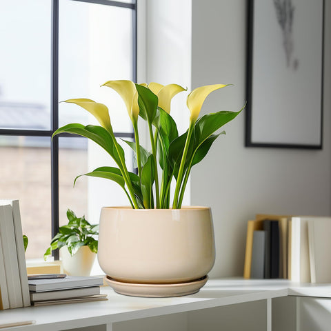 G EPGardening maceta en salón mostrando integración con decoración moderna