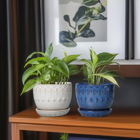 G EPGardening maceta en terraza, aporta decoración y funcionalidad al espacio