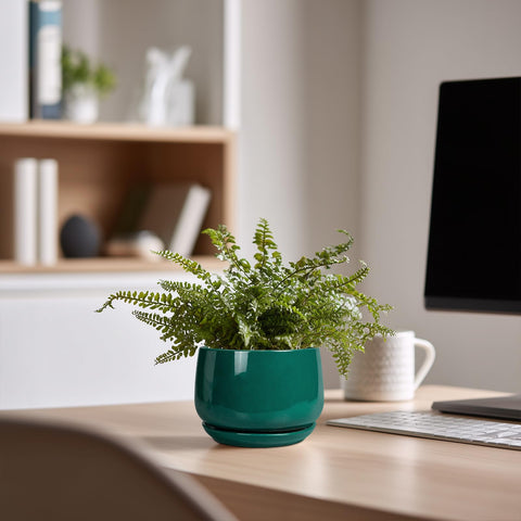 G EPGardening maceta en escritorio, añade verde y orden al espacio de trabajo