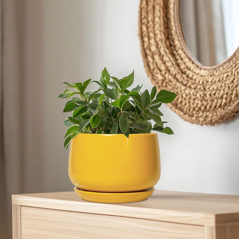 G EPGardening comparación de tamaño con mano para escala precisa