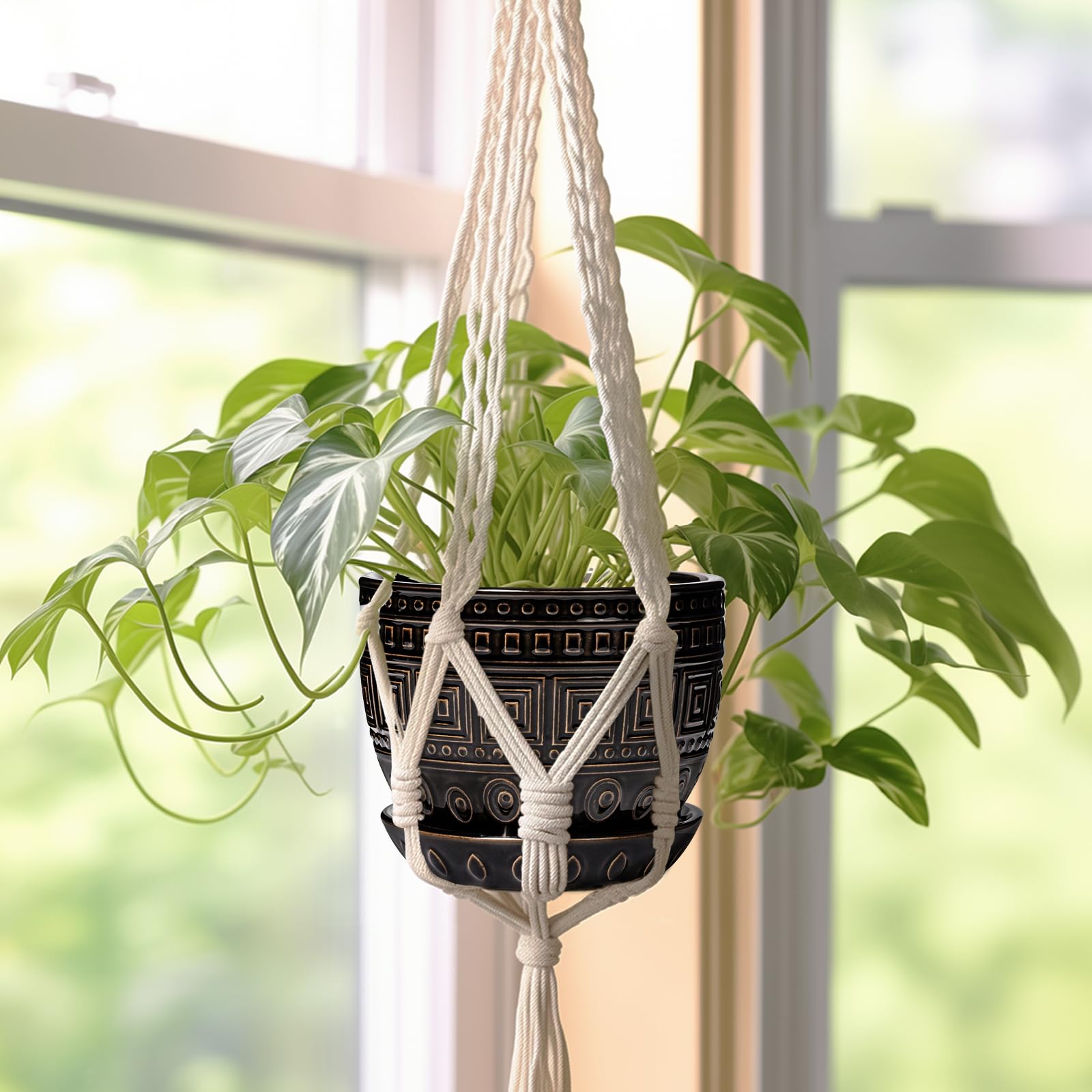 G EPGardening maceta junto a una mano para comparar tamaño compacto