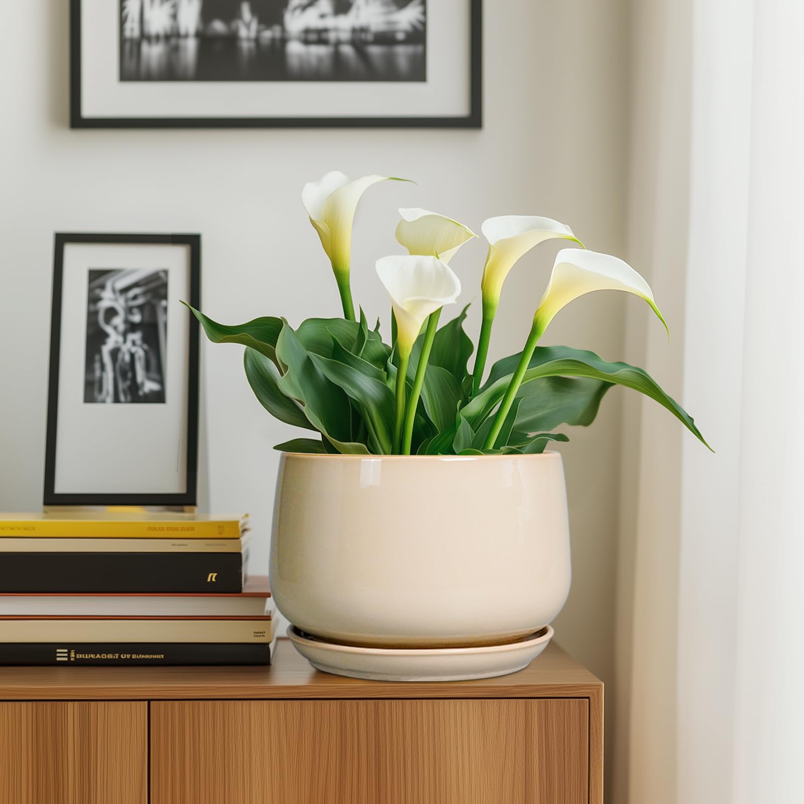 G EPGardening comparación de tamaño con manos para percepción de escala
