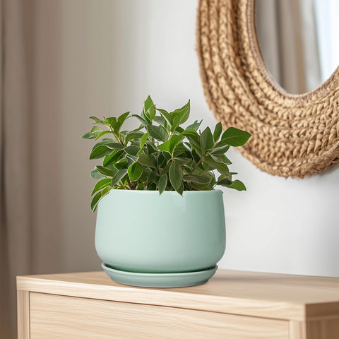 G EPGardening maceta en manos para comparar tamaño y facilitar decisiones