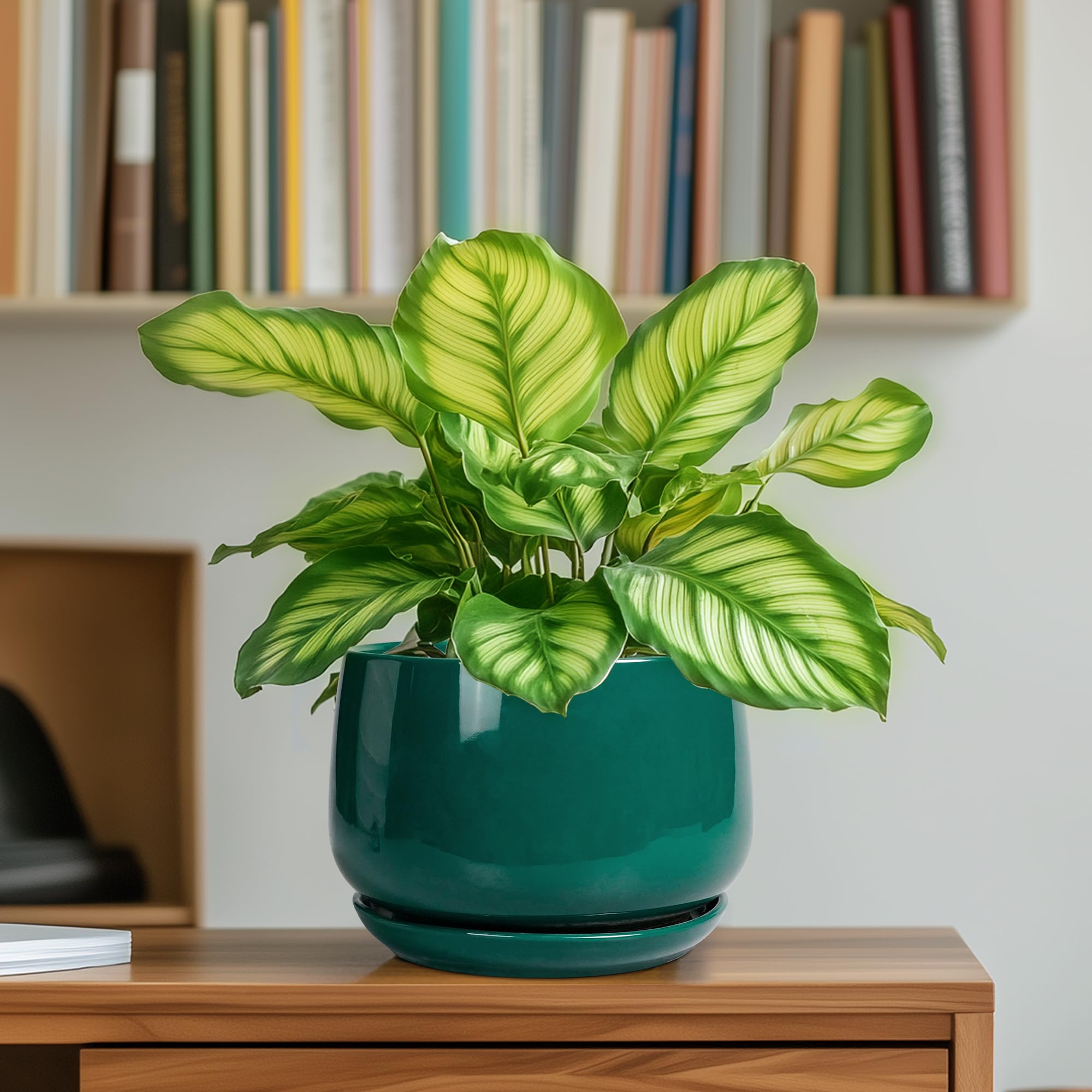 G EPGardening comparación de tamaño para visualizar escala en espacios