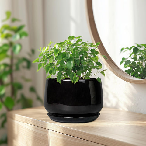 G EPGardening maceta junto a manos para escala, muestra tamaño práctico