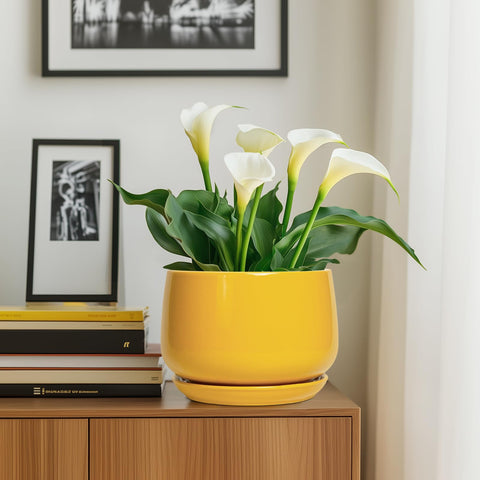 G EPGardening conjunto decorativo en sala crea estilo contemporáneo