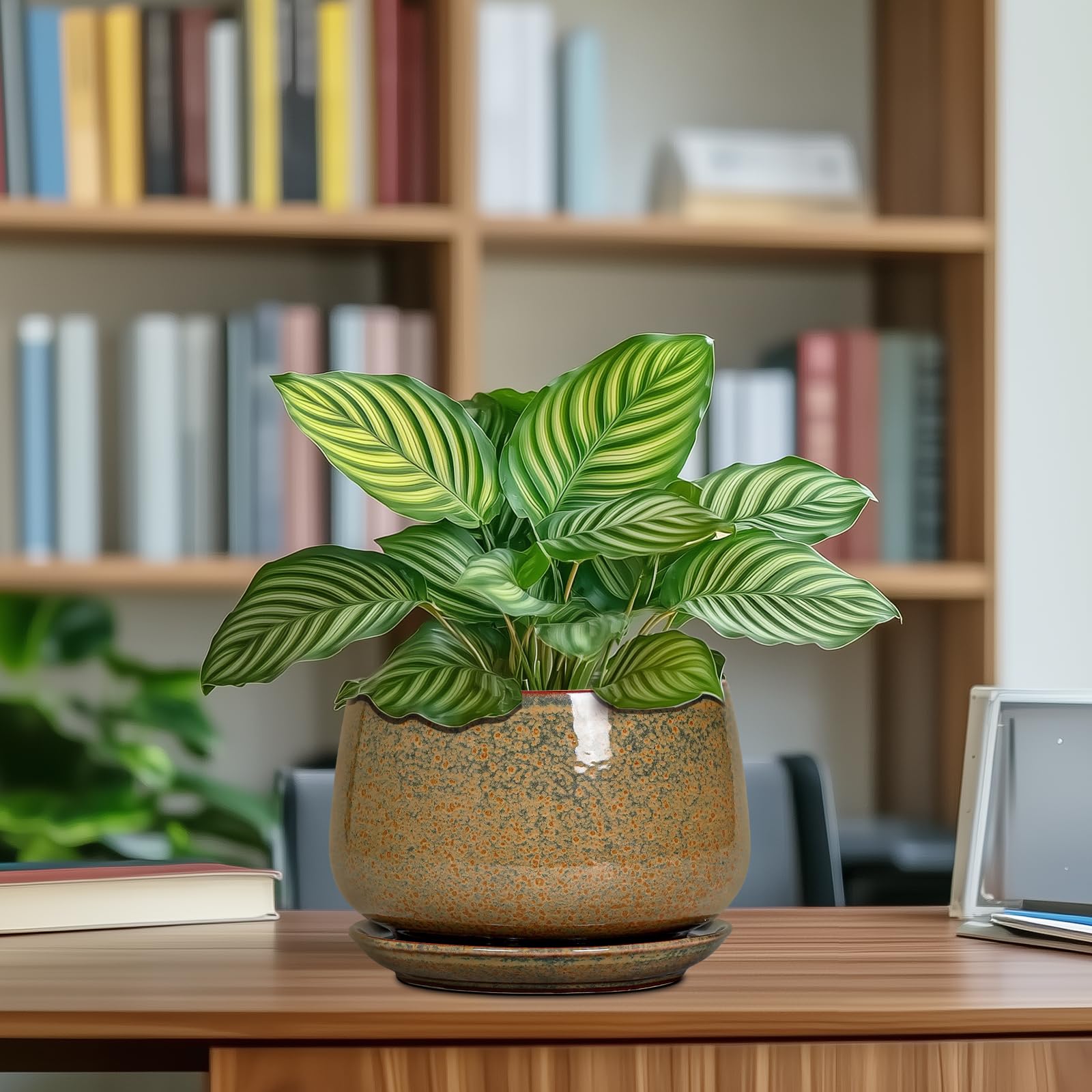 G EPGardening conjunto como regalo funcional y decorativo