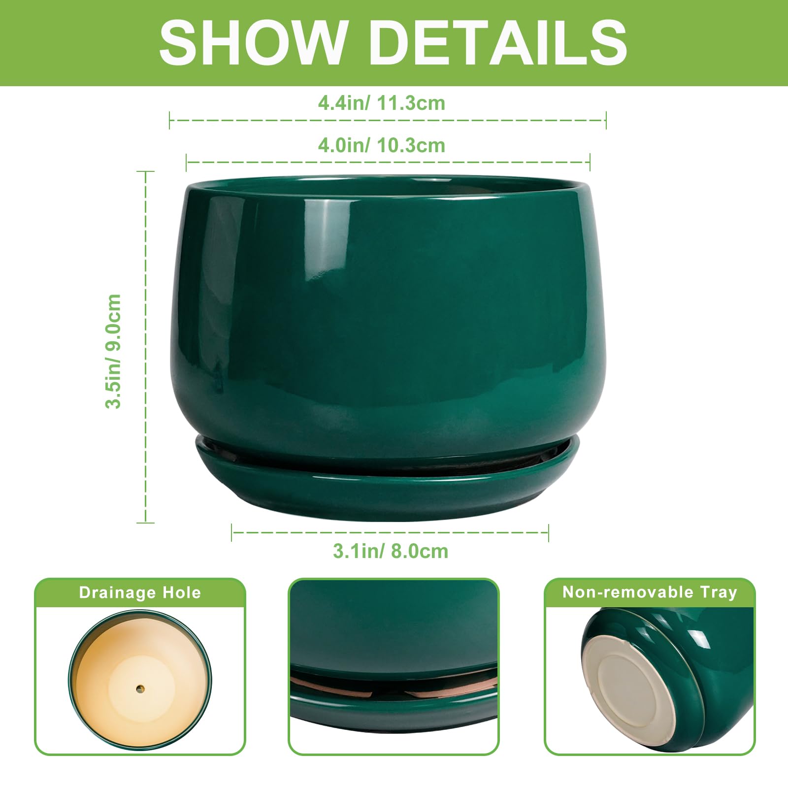 G EPGardening primer plano del esmalte brillante y textura resistente