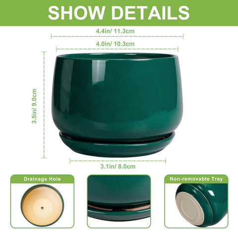 G EPGardening primer plano del esmalte brillante y textura resistente