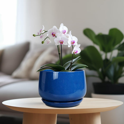 G EPGardening detalle del esmalte cerámico que resalta acabado duradero