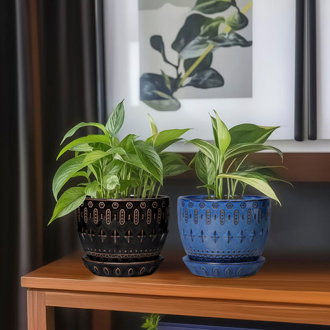 G EPGardening maceta empaquetada lista para regalo, presentación cuidada
