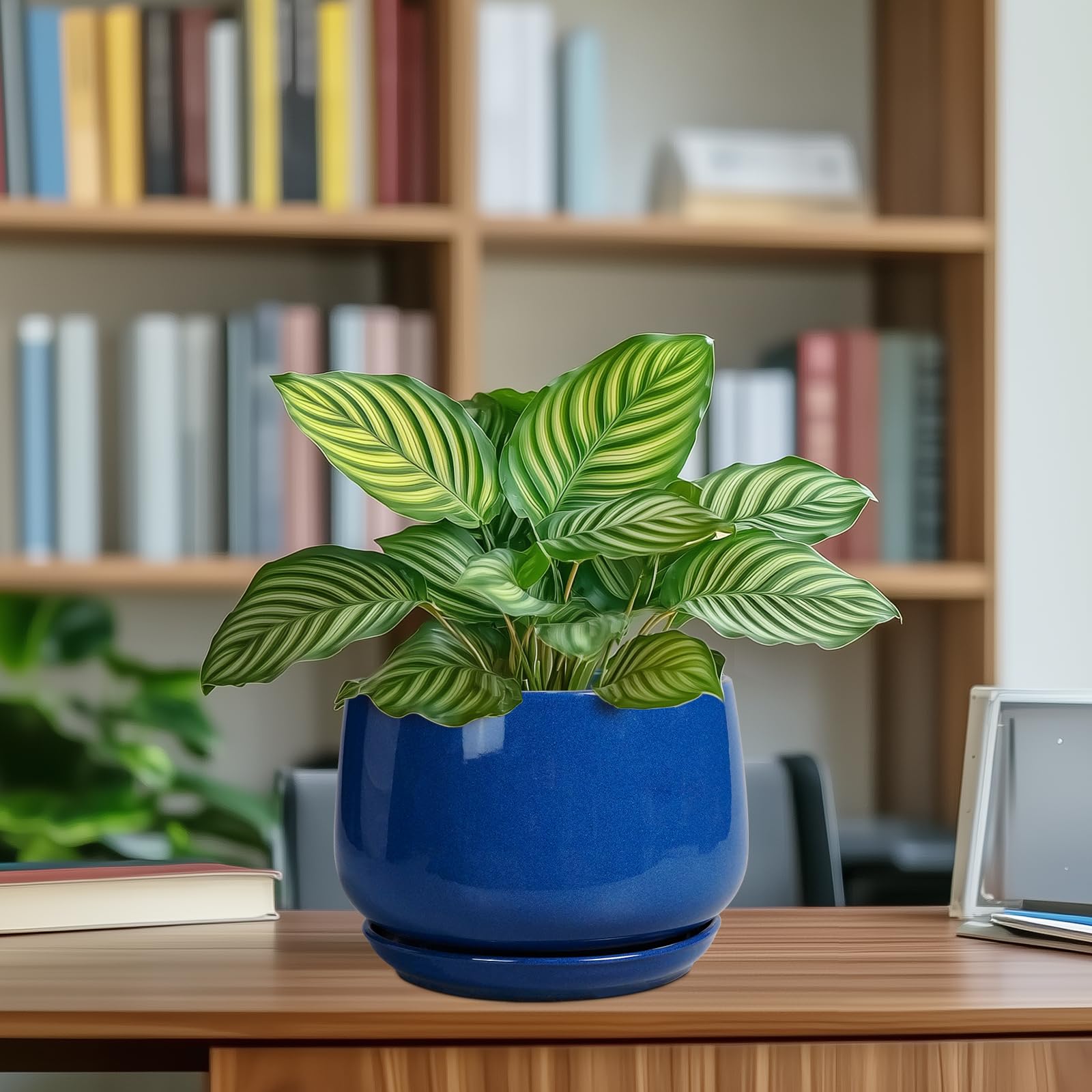 G EPGardening empaque preparado como regalo elegante para el hogar