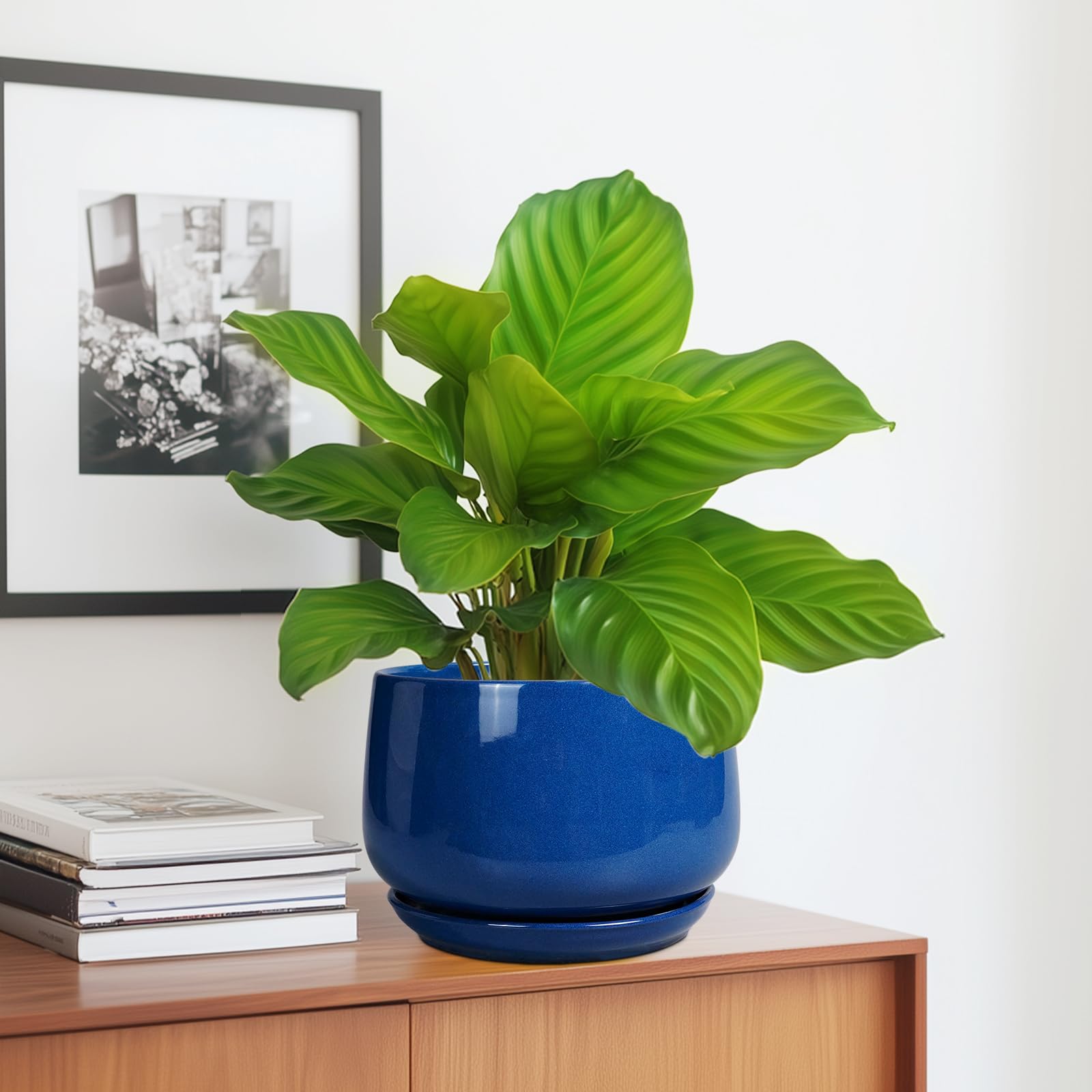 G EPGardening maceta en escritorio aportando decoración y frescura