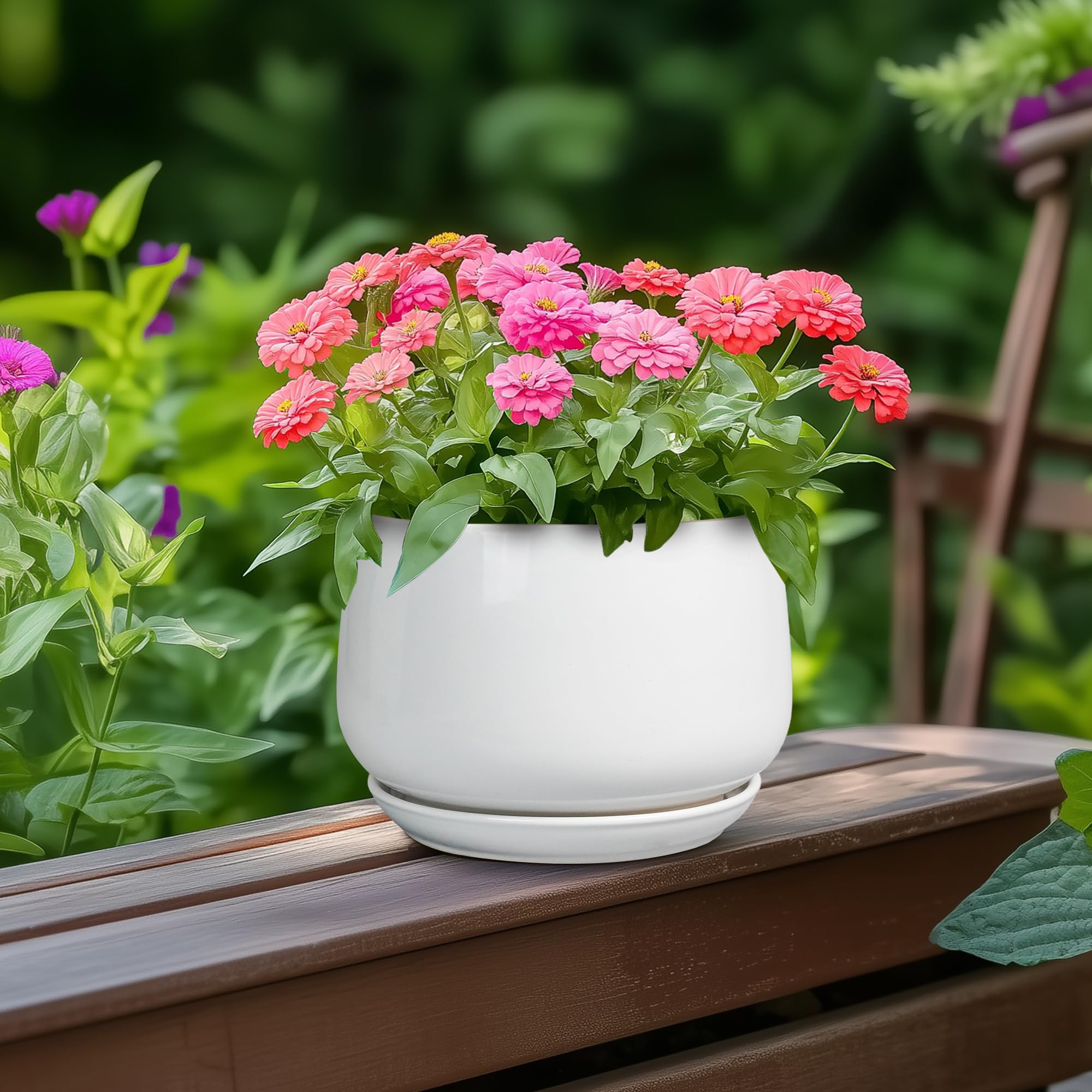G EPGardening maceta en escritorio aporta decoración y funcionalidad a oficina