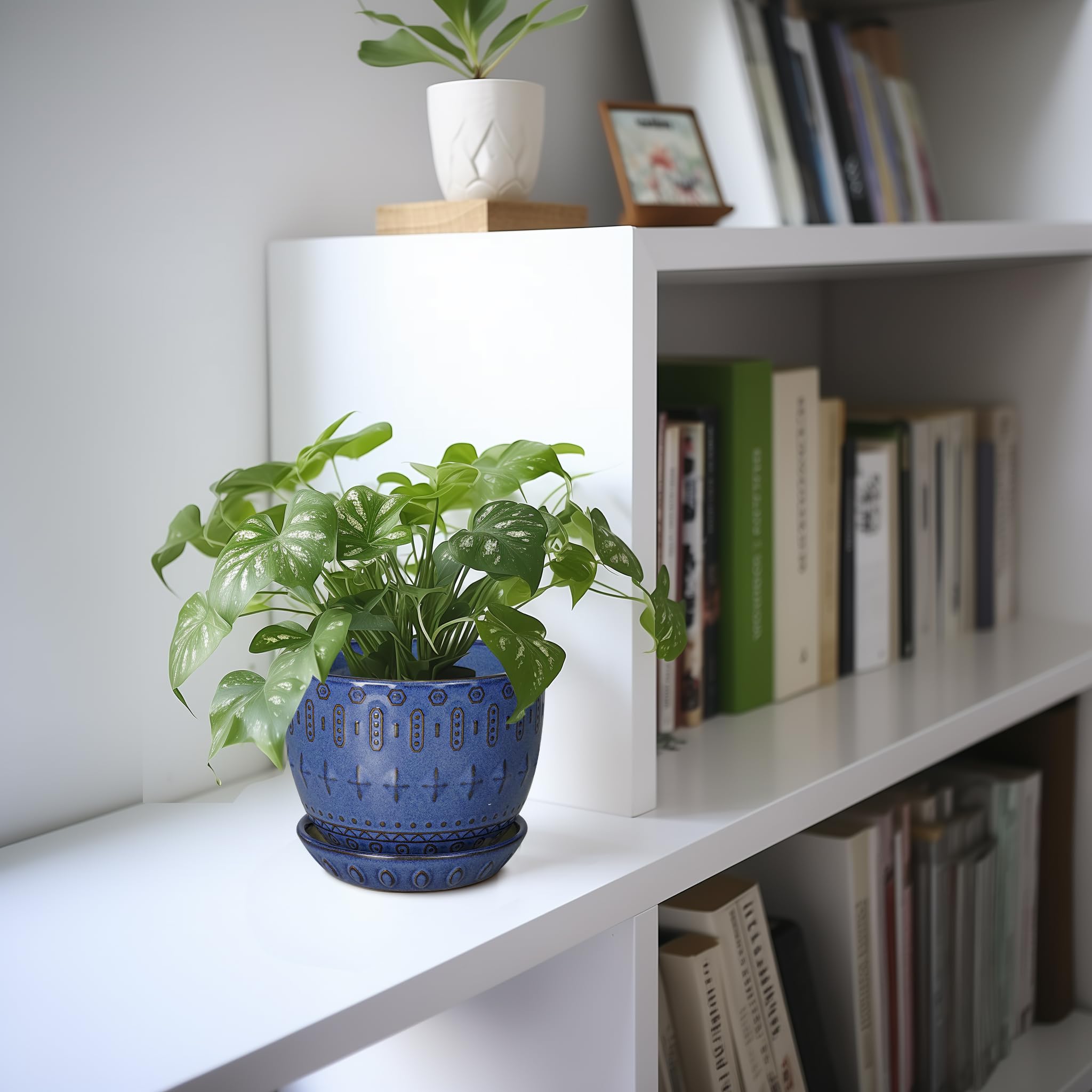 G EPGardening maceta en uso con suculenta, añade color y estilo a la mesa