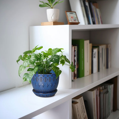 G EPGardening maceta en uso con suculenta, añade color y estilo a la mesa